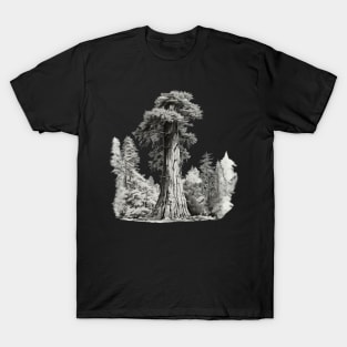 Majestic Forest Tree - Nature's Serene Beauty T-Shirt